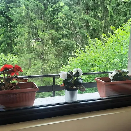 Σπίτι διακοπών 